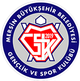 梅尔辛BBGSK Logo