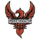 东莞新彤盛女篮 Logo