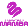 萨斯卡通曼巴 Logo