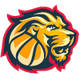弗拉基米尔大学女篮 Logo