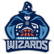 北方巫师女篮 Logo