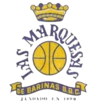 巴里纳斯女篮 Logo