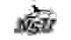 新东南大学 Logo
