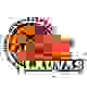 利耶帕亚 Logo