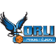 普罗斯捷约夫 Logo