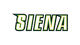 锡耶纳赫兹大学 Logo