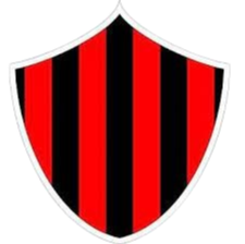 圣马丁竞技图书馆 Logo
