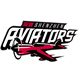 深圳新世纪后备队 Logo