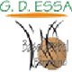 巴列罗女篮 Logo