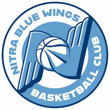 尼特拉蓝翼 Logo