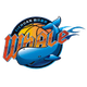 四川女篮 Logo
