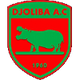 乔利巴女篮 Logo