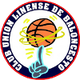 利内阿联篮球 Logo