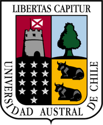 智利南方大学U21 Logo