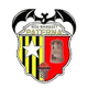 帕特纳女篮 Logo
