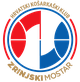 兹林斯基女篮 Logo