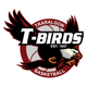 TRA德拉里亚 B Logo