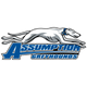 阿苏姆托拉斯大学女篮 Logo