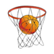 格拉德文斯基大学女篮 Logo