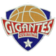 圭亚那巨人 Logo