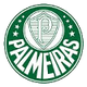 帕尔梅拉斯U19 Logo