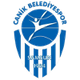 萨姆松女篮 Logo