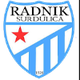 垒尼克 Logo