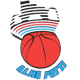 帕蒂女篮 Logo