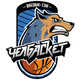 迪纳摩车里雅宾斯克 Logo