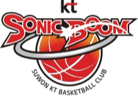 水原音速弹后备 Logo