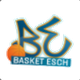 埃施女篮 Logo