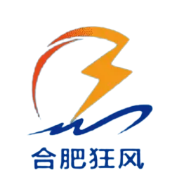合肥狂风U21 Logo