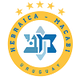 西伯利亚马卡比女篮 Logo