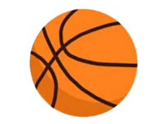 曼托瓦娜女篮 Logo