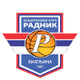 拉德尼克 Logo