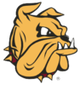 明尼苏达大学德卢斯分校女篮 Logo