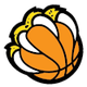 危地马拉城捷豹 Logo