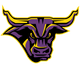 明尼苏达州立女篮 Logo