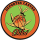 卡斯托洛 Logo