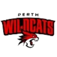 珀斯野猫 Logo