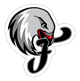 纽伦堡猎鹰 Logo