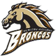 西密歇根大学 Logo