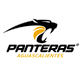 阿瓜斯卡连特斯黑豹 Logo