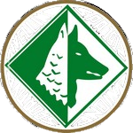 阿维利诺U19 Logo