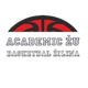 斯利纳大学 Logo