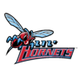 特拉华州立大学 Logo