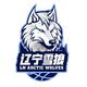 辽宁双喜电器女篮 Logo