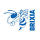 布里夏女篮 Logo
