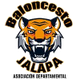 贾拉女篮 Logo