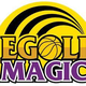 伊戈里女篮 Logo